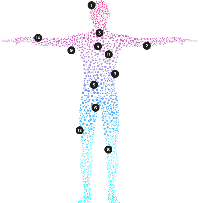 Body Wellness